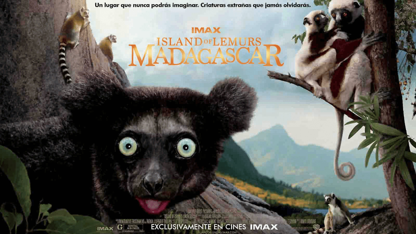 Film backdrop for La Isla de los Lemures: Madagascar